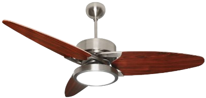 Luxury Fans Oltao Designer Fans