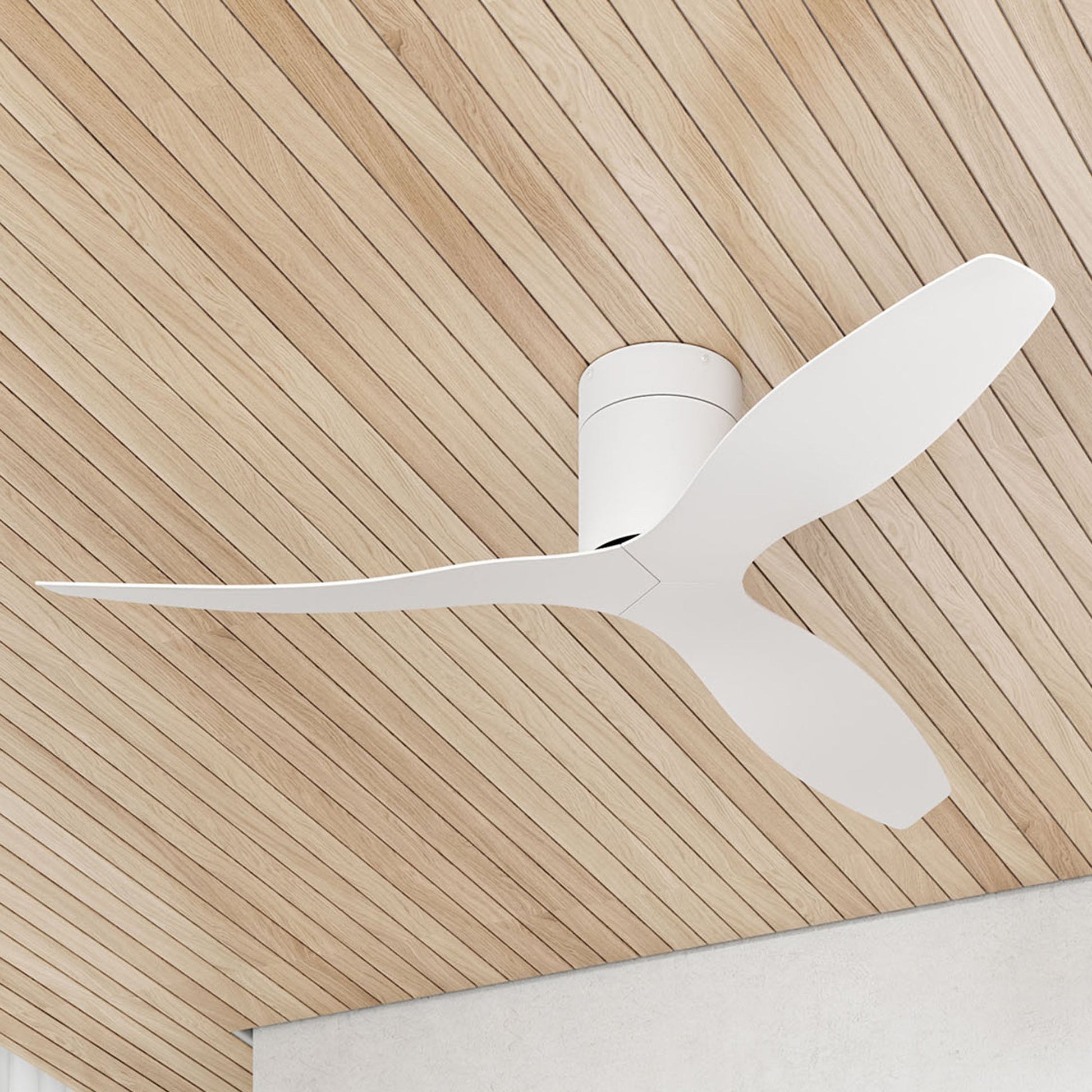 Titan Stylish 52 Inches Hugger Ceiling Fan | Minimalist 3-Blade Low-Profile Design Oltao