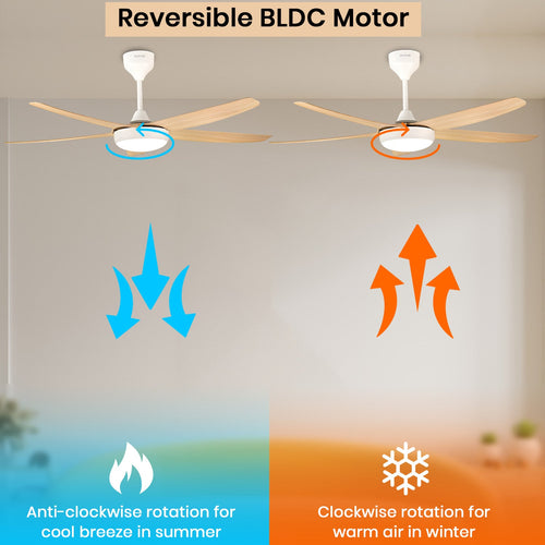 Simple 56 inches Designer Ceiling Fan with LED And Wooden Textured Blade Oltao Designer Fans