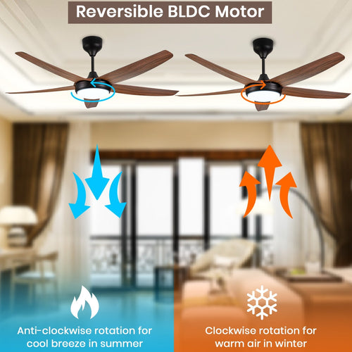 Simple 56 inches Designer Ceiling Fan with LED And Wooden Textured Blade Oltao Designer Fans