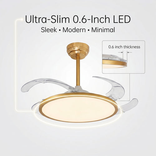 oltao Zyro UltraSlim Retractable Ceiling Fan with BLDC Motor, 3 Colour LED Light, Summer/Winter Mode and Remote, 42/48 inch Sweep (2026 Model) Oltao Designer Fans
